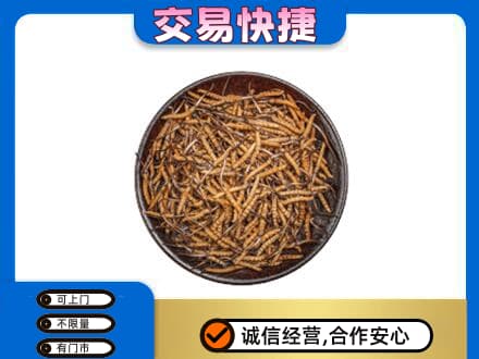 临江市回收散虫草
